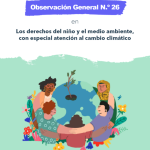 Observación General N° 26